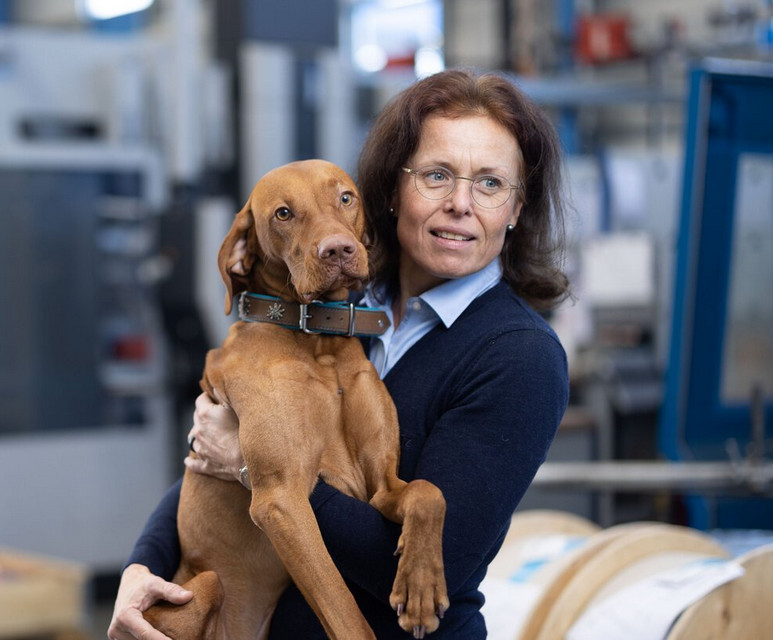 Starte deine Karriere bei Dietz Federn!